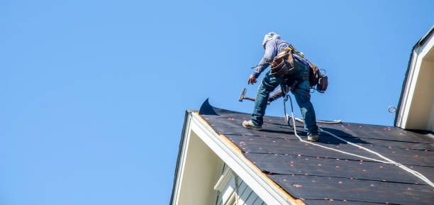 Best Metal Roofing Contractor  in Algonquin, MD